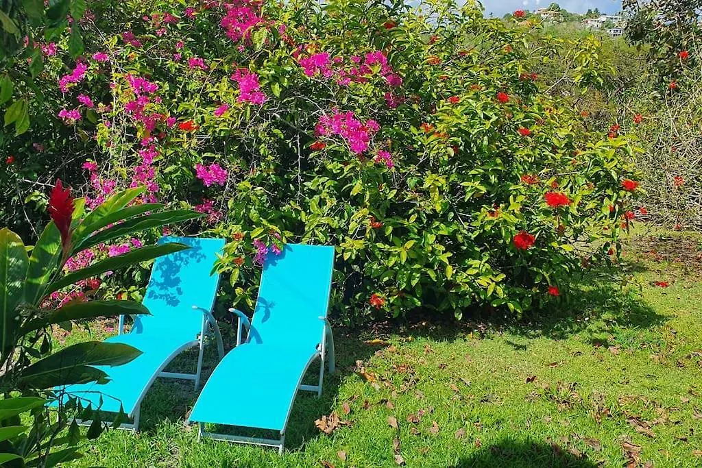 972D4 - Les 2 Palmiers - Bas De Villa 60M2 Jardin 2000M2 Riviere-Salee Διαμέρισμα